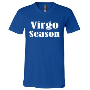 Virgo Season Great Gift V-Neck T-Shirt