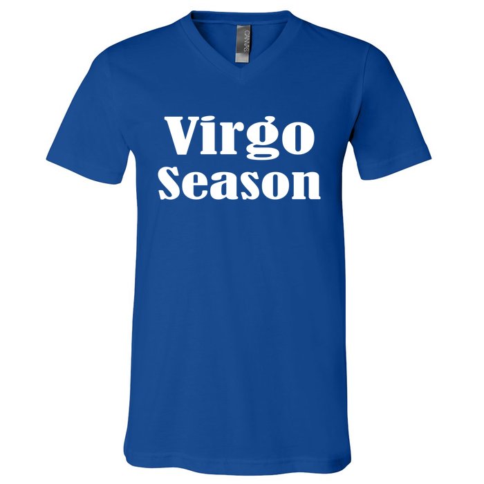 Virgo Season Great Gift V-Neck T-Shirt