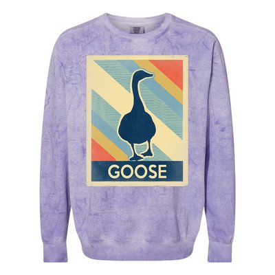 Vintage Style Goose Colorblast Crewneck Sweatshirt