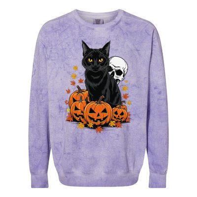 Vintage Scary Halloween Black Cat Lovers Pumpkin Costume Colorblast Crewneck Sweatshirt