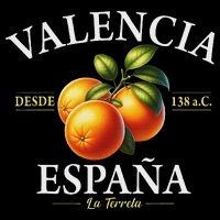 Valencia Spain La Terreta Oranges Since 138 Bc Kids Hoodie