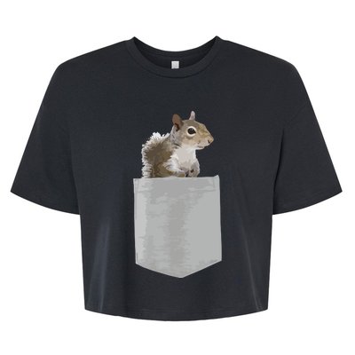 Vintage Squirrel Lover Squirrel Whisperer Bella+Canvas Jersey Crop Tee