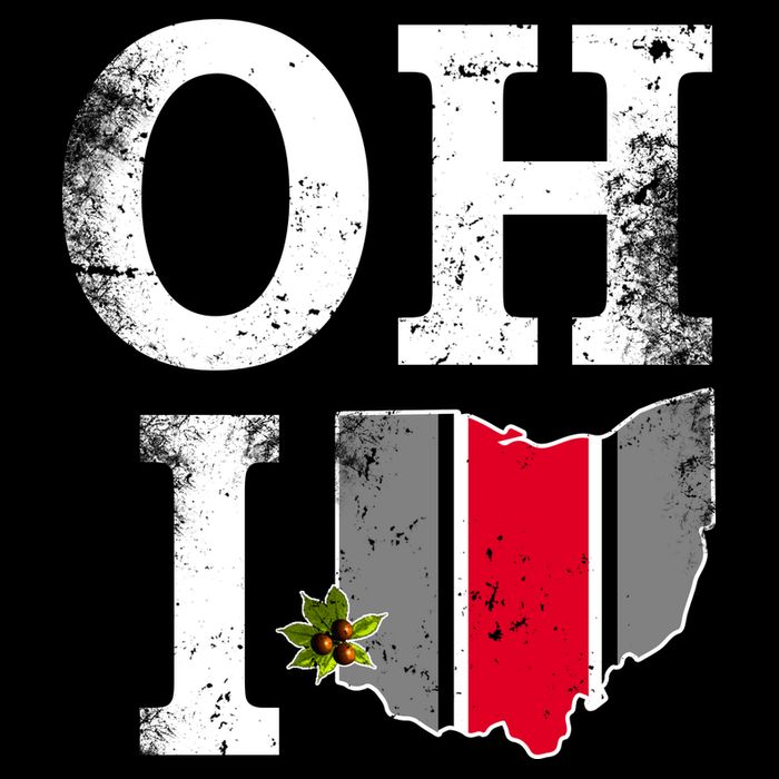 Vintage State Of Ohio Long Sleeve Shirt