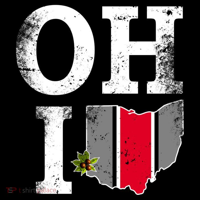 Vintage State Of Ohio Womens T-Shirt