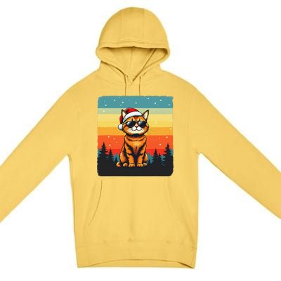 Vintage Style Orange Tabby Cat Friendly Wearing Sunglasses Premium Pullover Hoodie