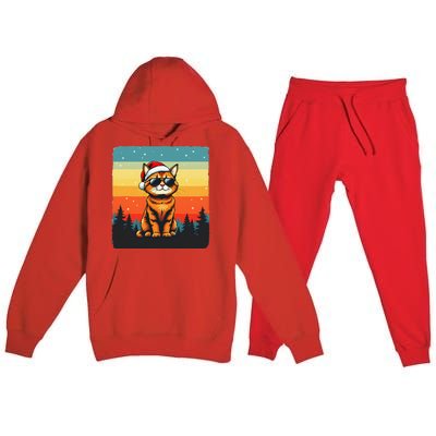 Vintage Style Orange Tabby Cat Friendly Wearing Sunglasses Premium Hooded Sweatsuit Set