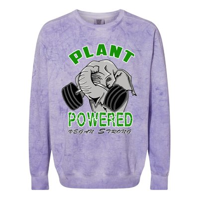 Vegan Strong Plant Powered Elephant Healthy Lifestyle Gift Colorblast Crewneck Sweatshirt