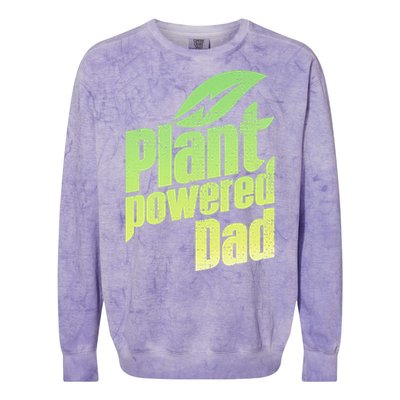 Vegan Strong Plant Powered Super Dad Workout Cute Gift Colorblast Crewneck Sweatshirt