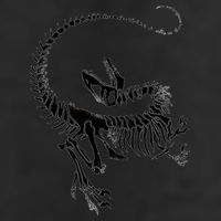 Velociraptor Skeleton Print Cool Comfort Performance Bucket Hat