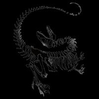 Velociraptor Skeleton Print Mug
