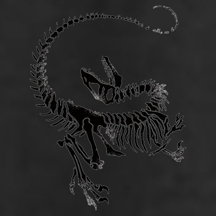 Velociraptor Skeleton Print 12oz Stainless Steel Coffee Mug