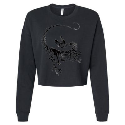 Velociraptor Skeleton Print Cropped Pullover Crew