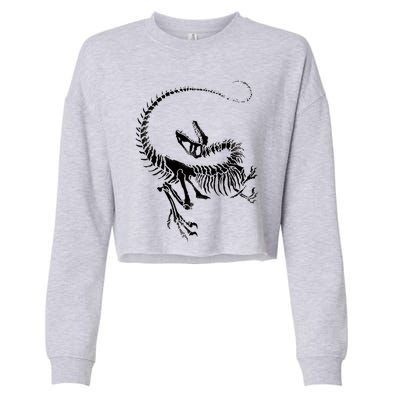 Velociraptor Skeleton Print Cropped Pullover Crew