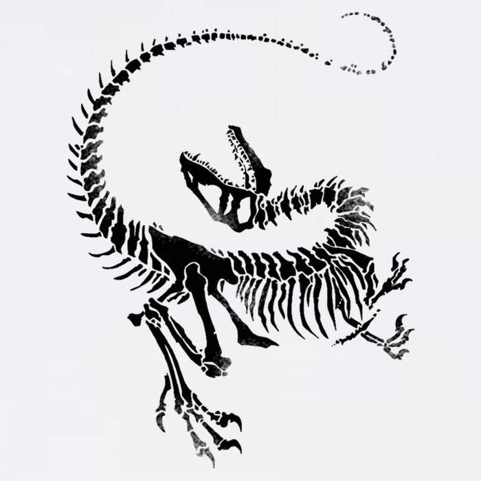 Velociraptor Skeleton Print Garment-Dyed Sweatshirt
