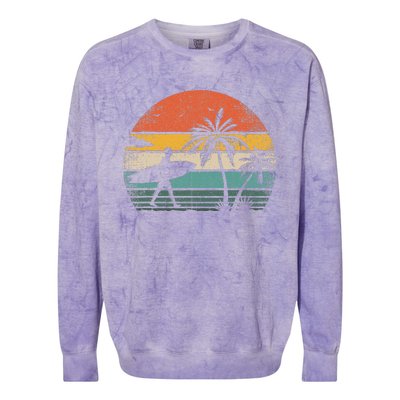 Vintage Surfing Retro Surf Style Palm Tree For Surfers Colorblast Crewneck Sweatshirt