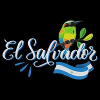 Vos Solo Sos Paja Salvadoran Slang El Salvador Flag Torogoz Long Sleeve Shirt