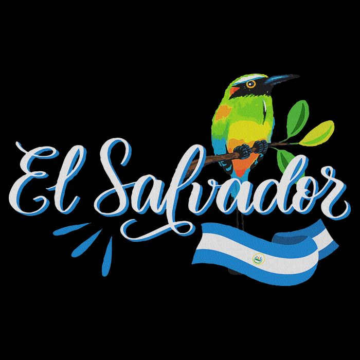 Vos Solo Sos Paja Salvadoran Slang El Salvador Flag Torogoz Long Sleeve Shirt