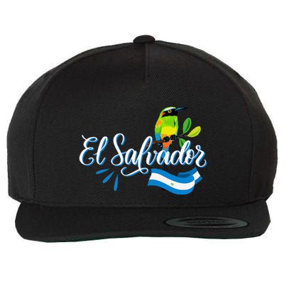 Vos Solo Sos Paja Salvadoran Slang El Salvador Flag Torogoz Wool Snapback Cap