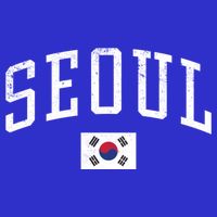 Vintage Seoul South Korea Country Flag Souvenir Vacation Cool Gift T-Shirt
