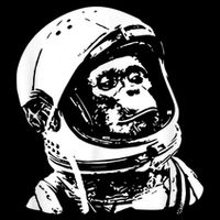 Vintage Space Travel Astronaut Monkey Bucket Hat