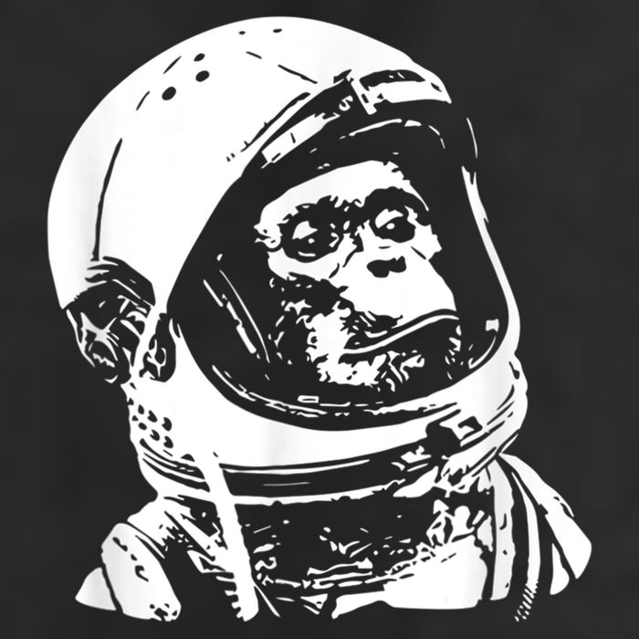 Vintage Space Travel Astronaut Monkey Beanie