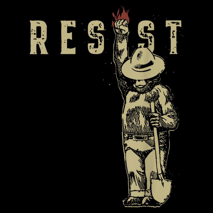 Vintage The Resist Bear Button