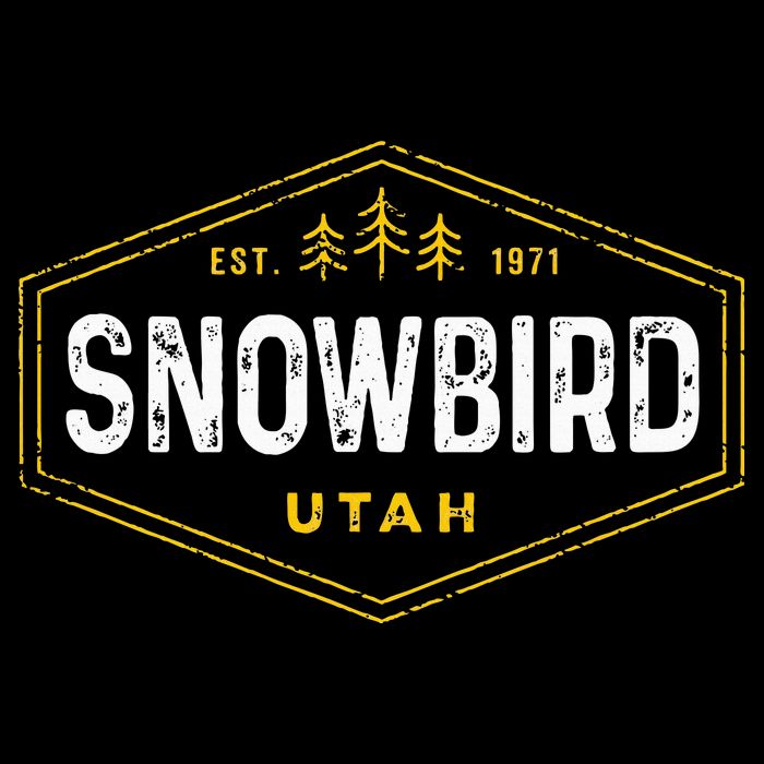 Vintage Snowbird Ut Hexagon Badge Utah Snow Ski Souvenir T-Shirt