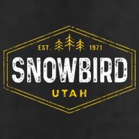 Vintage Snowbird Ut Hexagon Badge Utah Snow Ski Souvenir Beanie