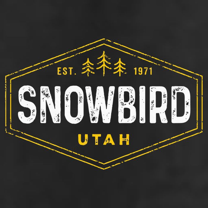 Vintage Snowbird Ut Hexagon Badge Utah Snow Ski Souvenir Beanie