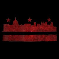 Vintage Skyline Washington Dc Flag Cities Usa Pride TShirt Backpack