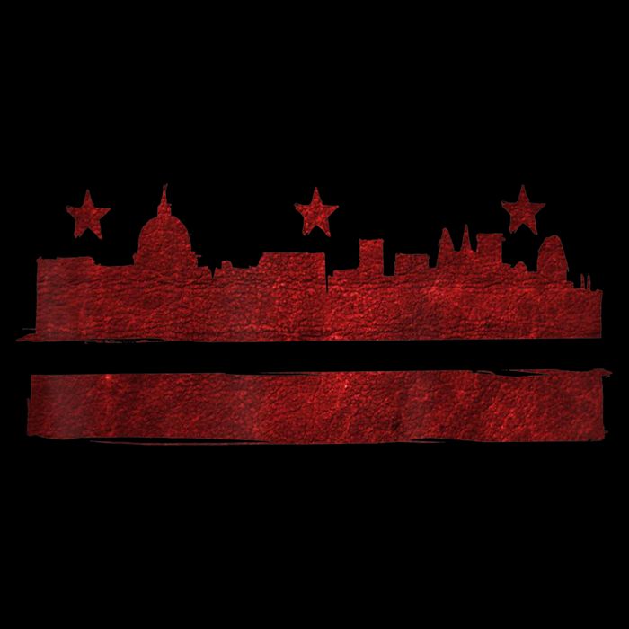 Vintage Skyline Washington Dc Flag Cities Usa Pride TShirt Backpack