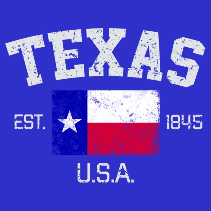 Vintage Texas Austin Est 1845 Souvenir Gift Cute Gift Button