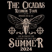Vintage The Cicadas Reunion Tour Broods Xiii And Xix Summer 2024 16 in Basic Backpack
