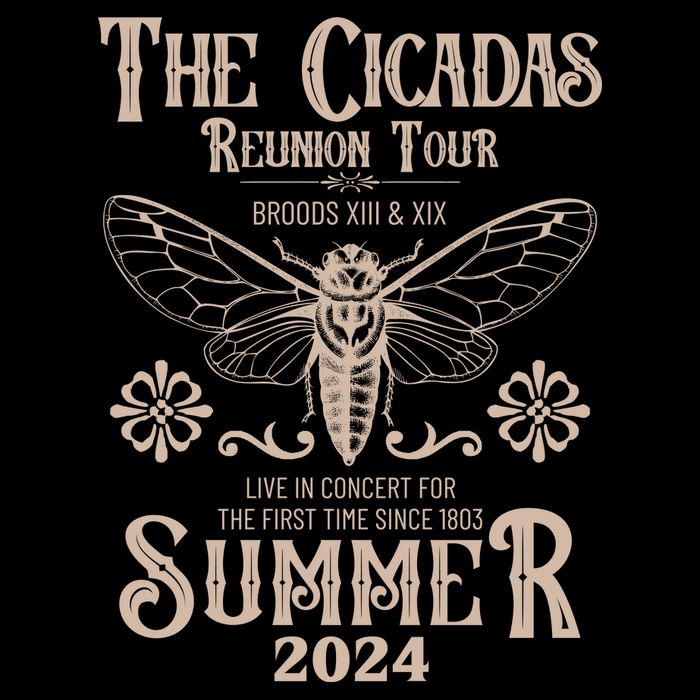Vintage The Cicadas Reunion Tour Broods Xiii And Xix Summer 2024 Bag