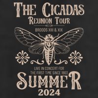 Vintage The Cicadas Reunion Tour Broods Xiii And Xix Summer 2024 Hat