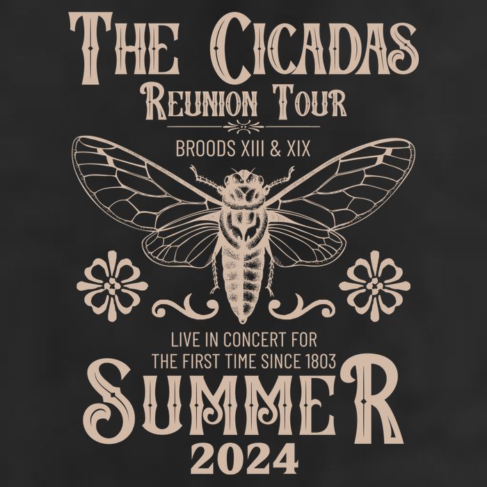 Vintage The Cicadas Reunion Tour Broods Xiii And Xix Summer 2024 Hat