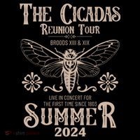 Vintage The Cicadas Reunion Tour Broods Xiii And Xix Summer 2024 Womens T-Shirt