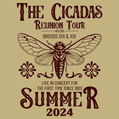 Vintage The Cicadas Reunion Tour Broods Xiii And Xix Summer 2024 T-Shirt