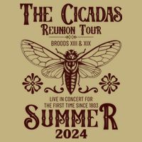 Vintage The Cicadas Reunion Tour Broods Xiii And Xix Summer 2024 Button