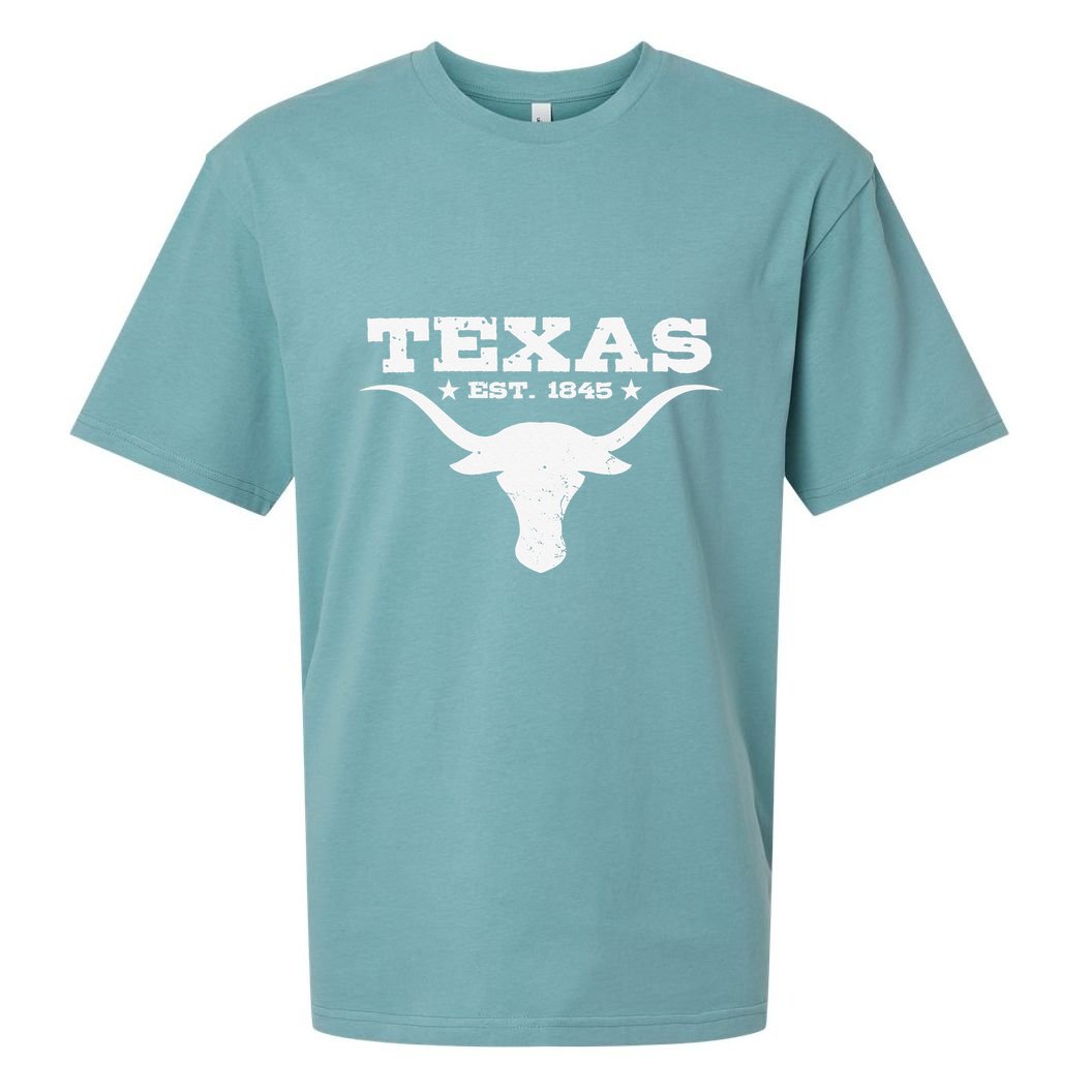 Vintage Texas Distressed Est. 1845 Longhorn Bull Sueded Cloud Jersey T-Shirt