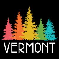 Vermont T Funny Visor
