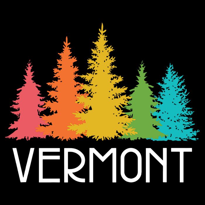 Vermont T Funny Visor