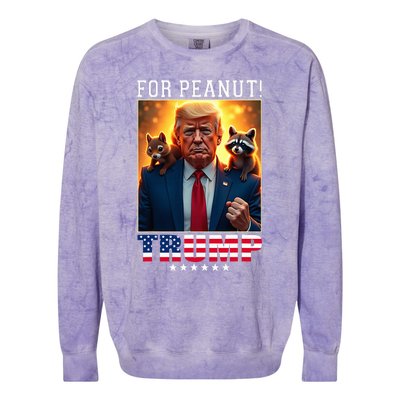 Vote Trump For Peanut The Squirrel Trump 2024 Election Colorblast Crewneck Sweatshirt