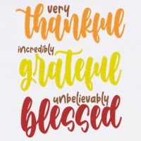 Very Thankful Incredibly Grateful Unbelievably Blessed Adult Drive Performance Visor