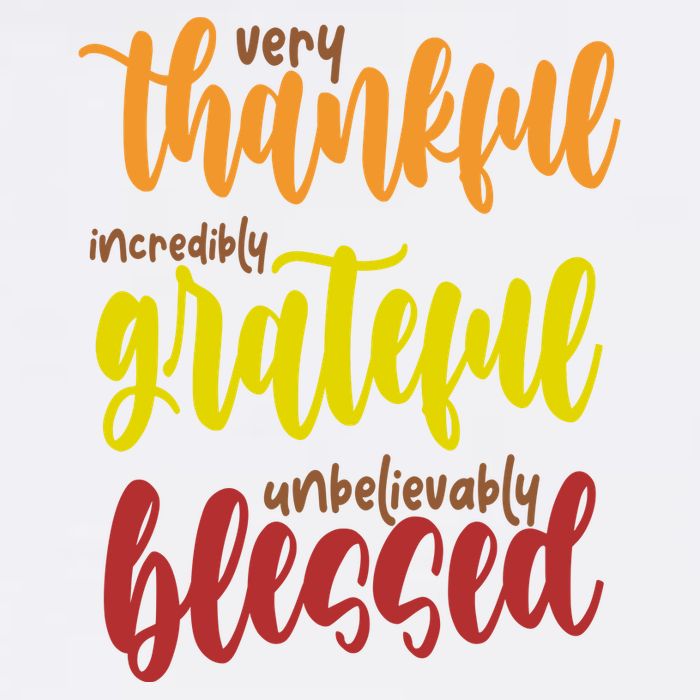 Very Thankful Incredibly Grateful Unbelievably Blessed Adult Drive Performance Visor