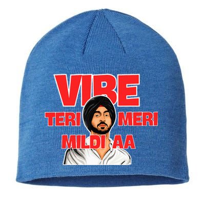 Vibe Teri Meri Mildi Aa Sustainable Beanie