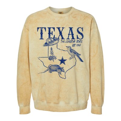 Vintage Texas Mockingbird Lone Star Bluebonnet Armadillo Hat Colorblast Crewneck Sweatshirt