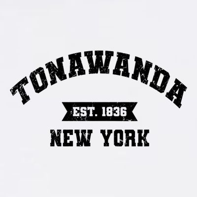 Vintage Tonawanda New York Ny Athletic Sports Style V Neck T-Shirt