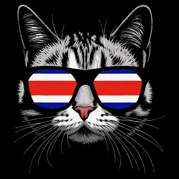 Vacation Tropical Pura Vida Cat Sunglasses Costa Rica Flag .Png Doggie Tank