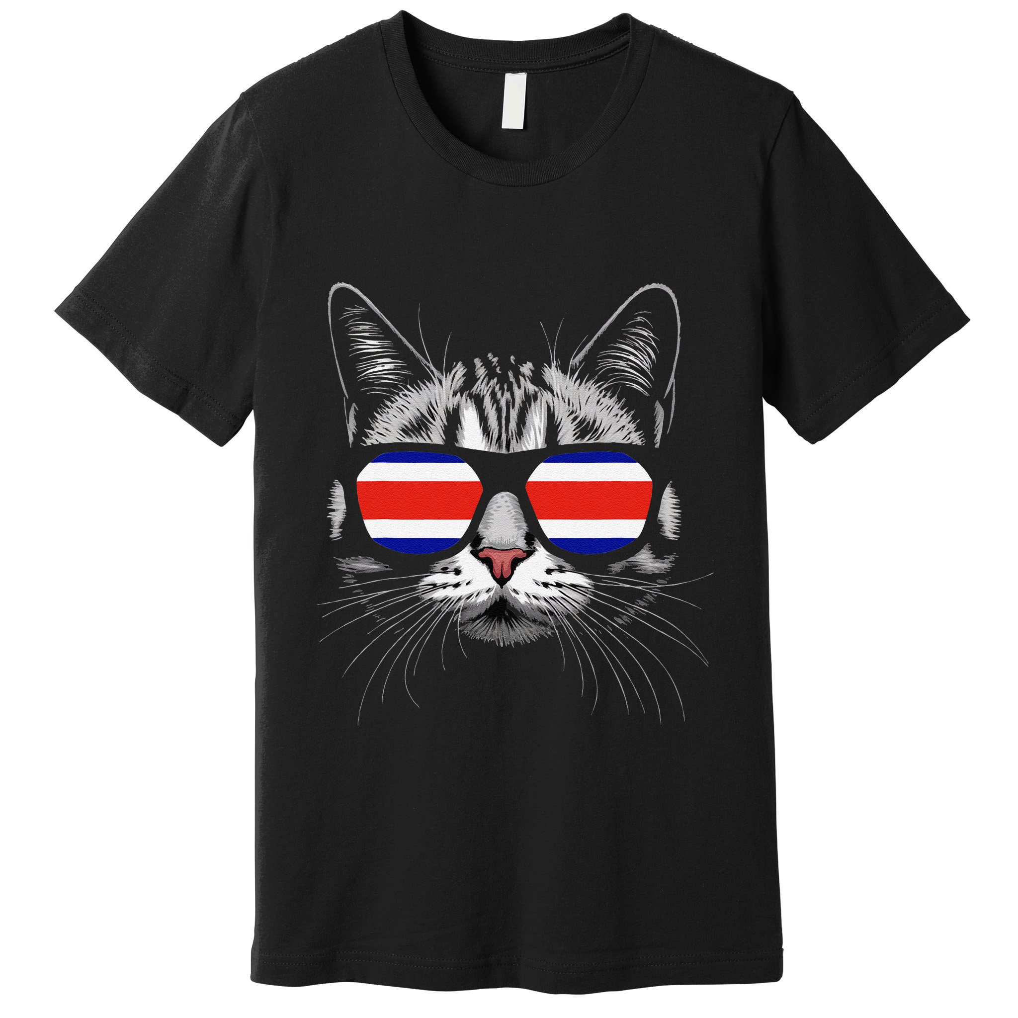 Vacation Tropical Pura Vida Cat Sunglasses Costa Rica Flag .Png Premium T-Shirt